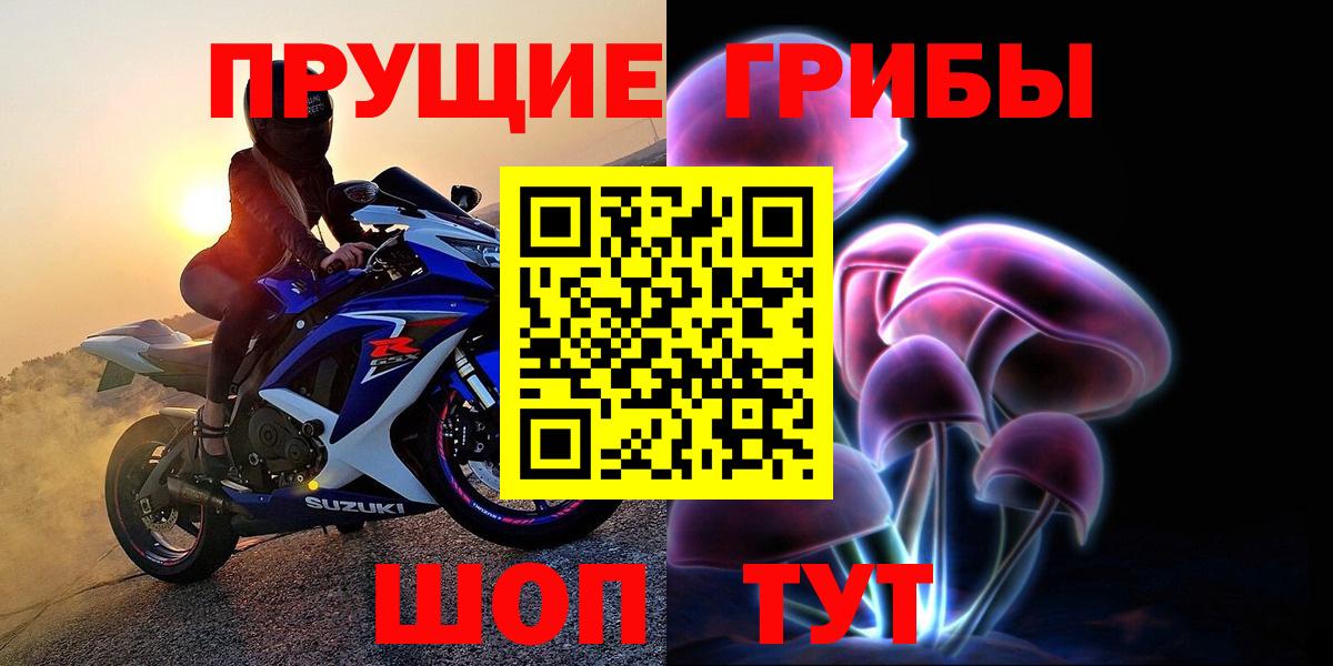 Галлюциногенные грибы Psilocybine cubensis Шебекино