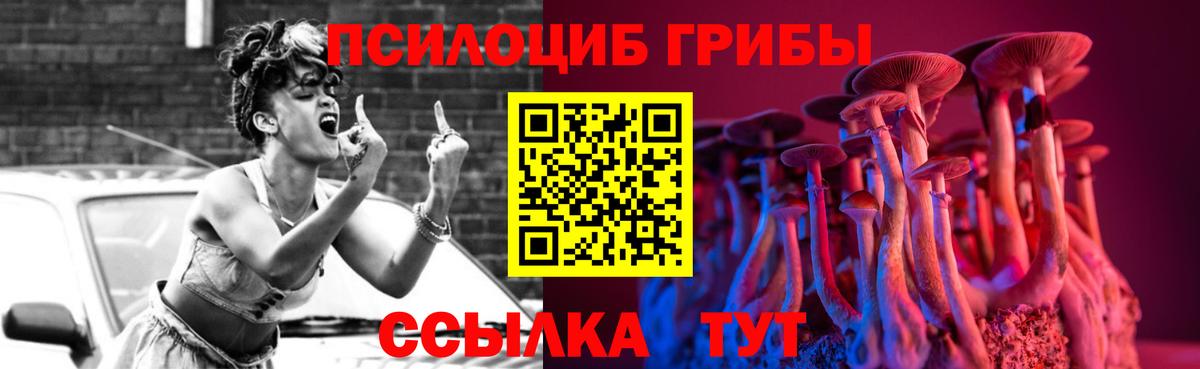 Шебекино  Псилоцибиновые грибы мухоморы  купить наркоту  Вход с VPN 
